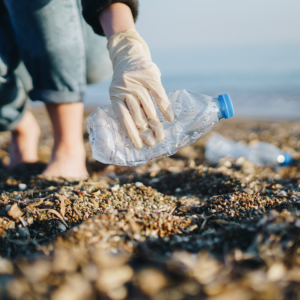 Flyland - Alumni Beach Clean Up